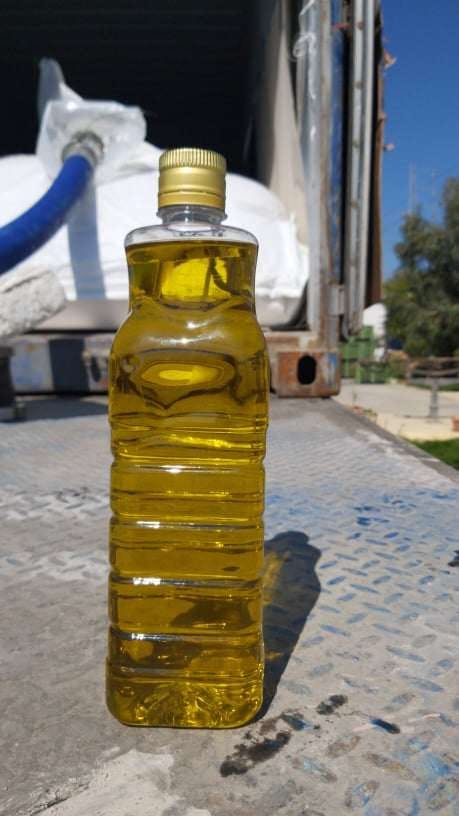 Refined olive oil samples in labeled bottles